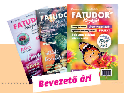 Előfizetés Fatudor Magazinra